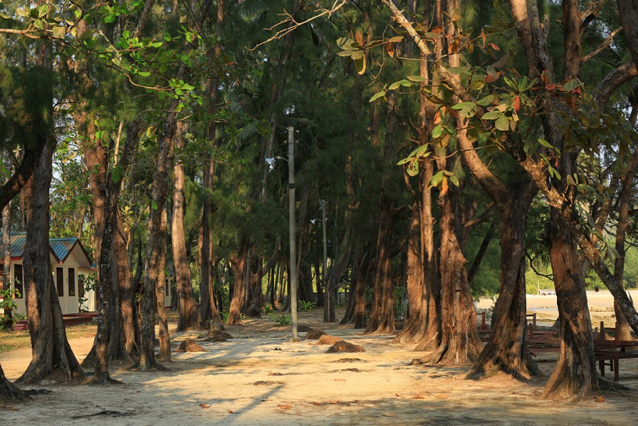 Coconut Island Resort Ngapali Bagian luar foto